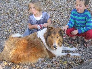 Shasta